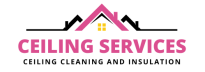 Ceiling Services
